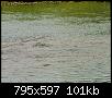 Klicke auf die Grafik fr eine grere Ansicht

Name:	Laichende Fische Drakenburg.jpg
Hits:	727
Gre:	100,7 KB
ID:	7633